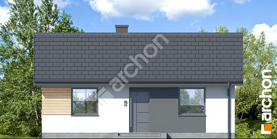 Передній фасад Будинок в коручках 8