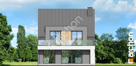 Дворовий фасад Будинок в клематисах 29