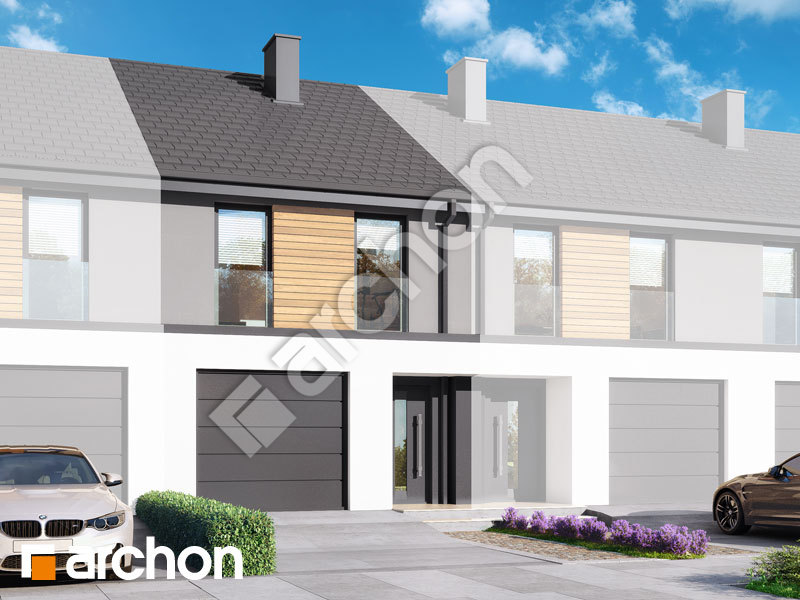 Проект будинку ARCHON+ Будинок в чорній смородині (ГС) Вид 1