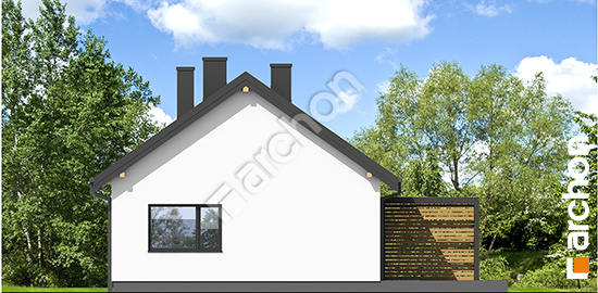 Дворовий фасад Будинок у оливниках 4