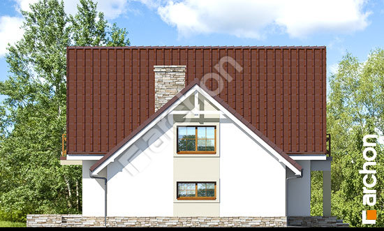 Бочний фасад Будинок в абрикосах 2 вер. 2