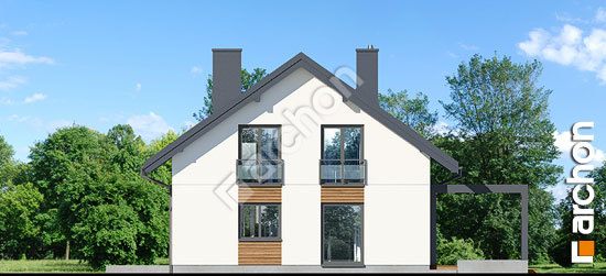 Боковой фасад Дом в аурорах 14 (Г2)