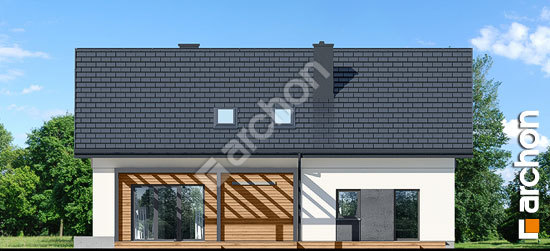 Дворовий фасад Будинок в аурорах 14 (Г2)