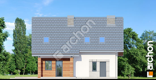 Дворовий фасад Будинок в яблонках 11