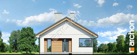 Передній фасад Будинок під помаранчею