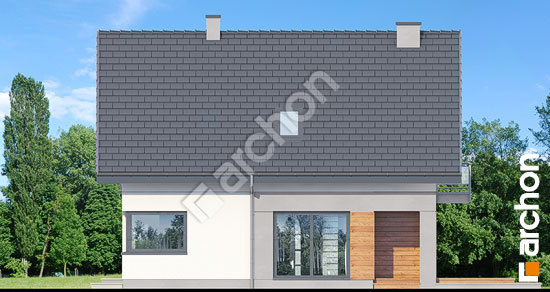 Бочний фасад Будинок у топазах