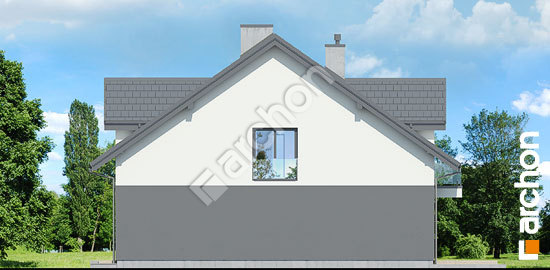 Бочний фасад Будинок під гінко 21 (ГР2)