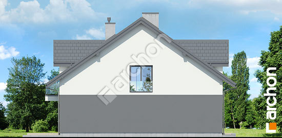 Боковой фасад Дом под гинко 21 (ГР2)