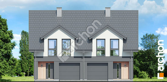 Передній фасад Будинок під гінко 21 (ГР2)