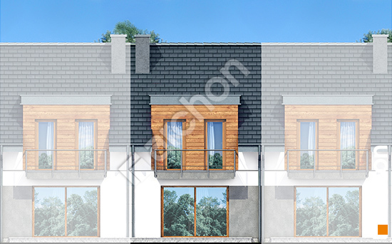 Дворовий фасад Будинок під гінко 10 (С)