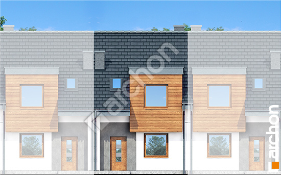 Передній фасад Будинок під гінко 10 (С)