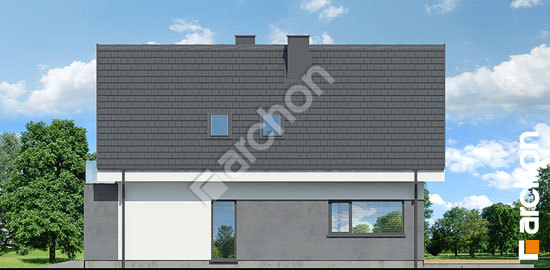 Боковой фасад Дом в брабрантах