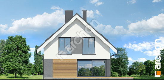 Дворовий фасад Будинок в брабрантах