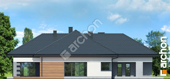 Бочний фасад Будинок в нігеллах 4 (Г2)