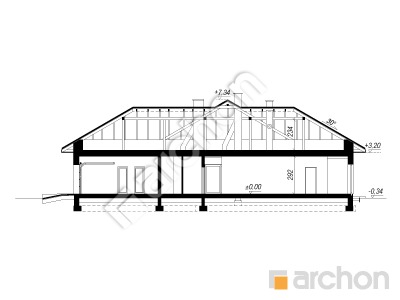 Проєкт будинку ARCHON+ Будинок в нігеллах 4 (Г2) Розріз будинку