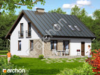Проект будинку ARCHON+ Будинок в брусниці 2 вер.2 додаткова візуалізація