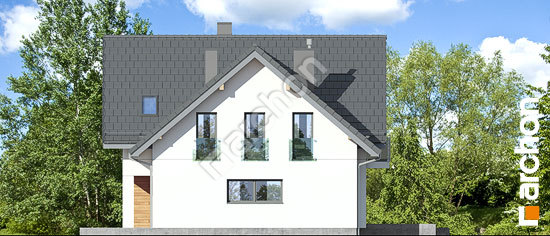 Боковой фасад Дом в медовниках