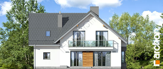 Дворовой фасад Дом в медовниках