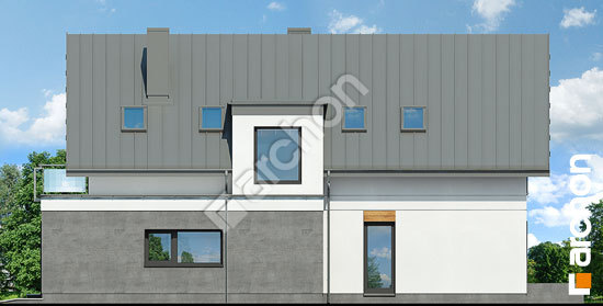 Бочний фасад Будинок під івою 2