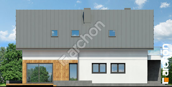 Бочний фасад Будинок під івою 2