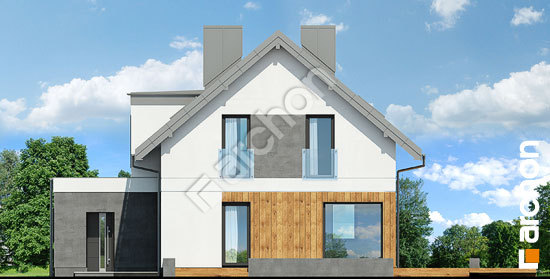 Дворовой фасад Дом под ивой 2