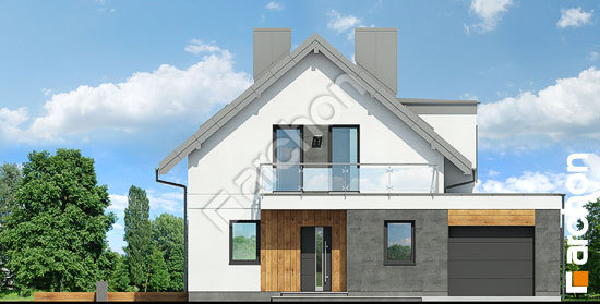 Передний фасад Дом под ивой 2