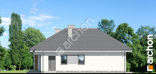 Боковой фасад Дом в навлоциях