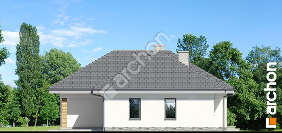 Боковой фасад Дом в навлоциях