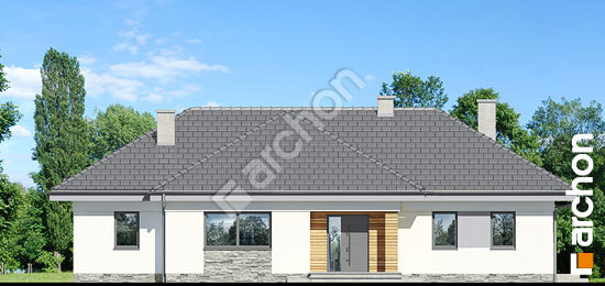 Передний фасад Дом в навлоциях