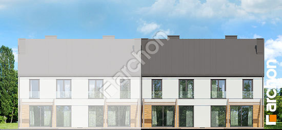 Дворовой фасад Дом под гинко 12 (ГР2БА)