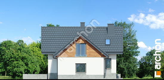 Боковой фасад Дом в помело (П)