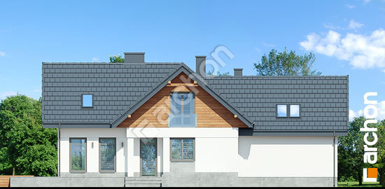 Дворовой фасад Дом в помело (П)