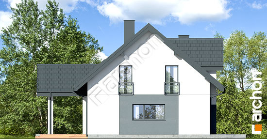 Бочний фасад Будинок в аурорах 21 (Г)