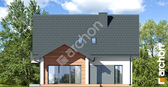 Дворовий фасад Будинок в аурорах 21 (Г)