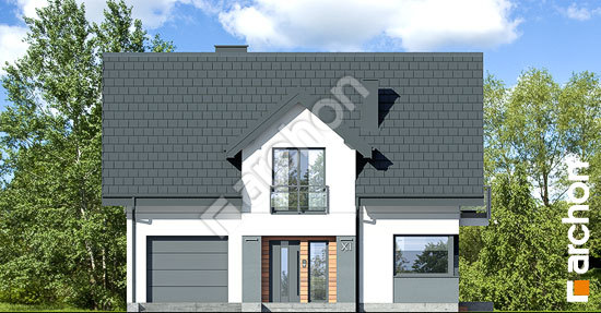 Передний фасад Дом в аурорах 21 (Г)