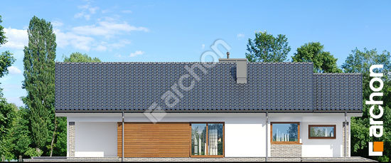 Боковой фасад Дом в лиредах 