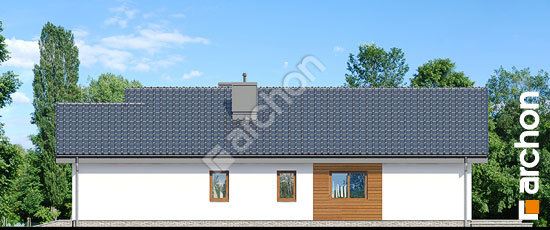 Боковой фасад Дом в лиредах 