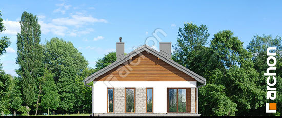 Дворовой фасад Дом в лиредах 