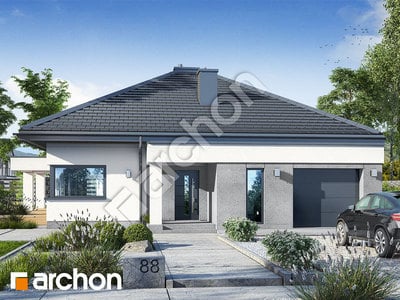 Проєкт будинку ARCHON+ Будинок в нігеллах (Г) 