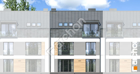 Дворовой фасад Дом в фиалках 17 (Р2С)