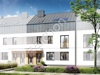 Проєкт будинку ARCHON+ Будинок в фіалках 17 (Р2С) 