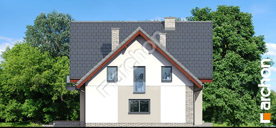 Боковой фасад Дом в амброзиях