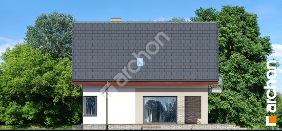 Боковой фасад Дом в амброзиях