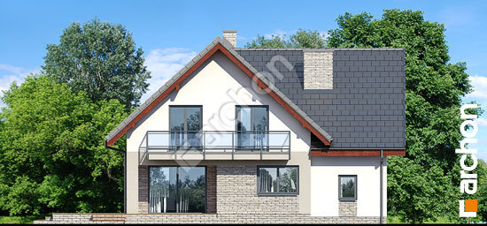 Дворовой фасад Дом в амброзиях