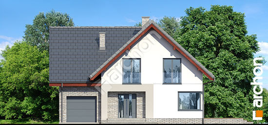 Передний фасад Дом в амброзиях