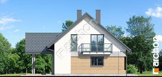 Бочний фасад Будинок в яблонках 21