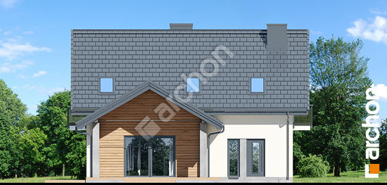 Дворовий фасад Будинок в яблонках 21