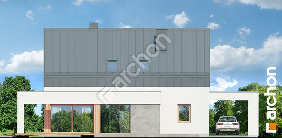 Дворовий фасад Будинок в аурорах (Н)