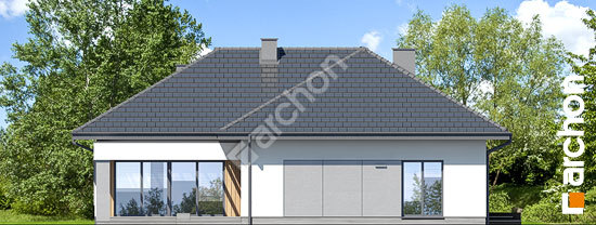 Бочний фасад Будинок у звіробої