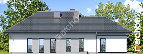 Дворовий фасад Будинок у звіробої